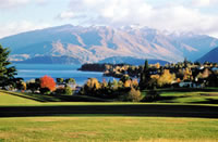 Wanaka - McGregor's Bakery